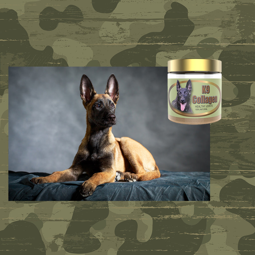K9 Collagen Hip And Joint Supplement: Effective Pet Joint Supplement For Dogs